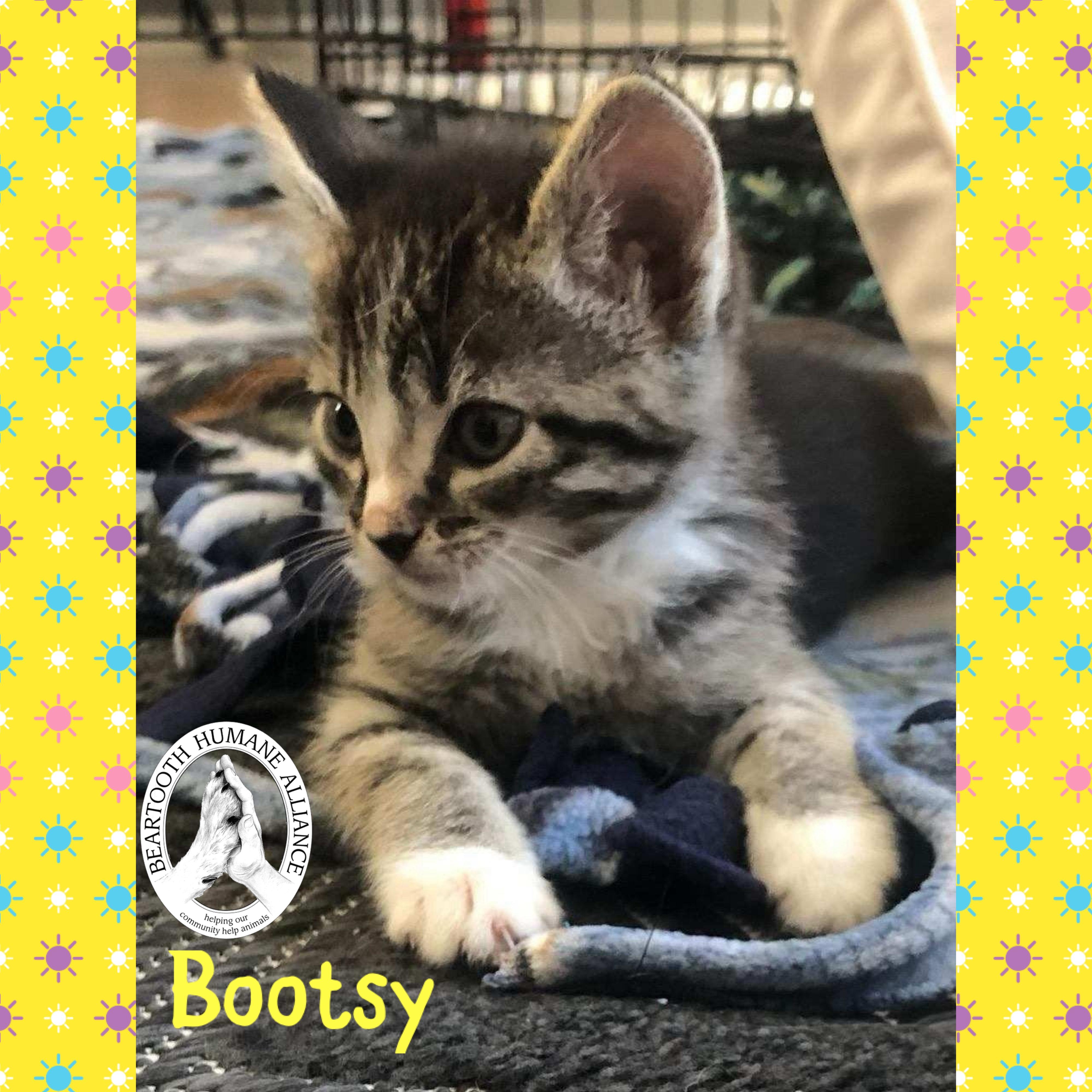 Bootsy, Baby Female unknown