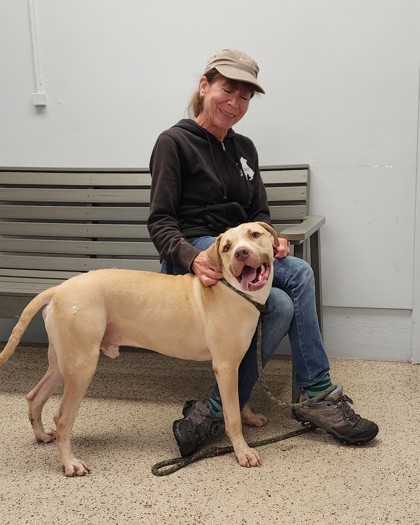 Wiggles, a Adoptable mixed breed in Philadelphia, PA image 3/4