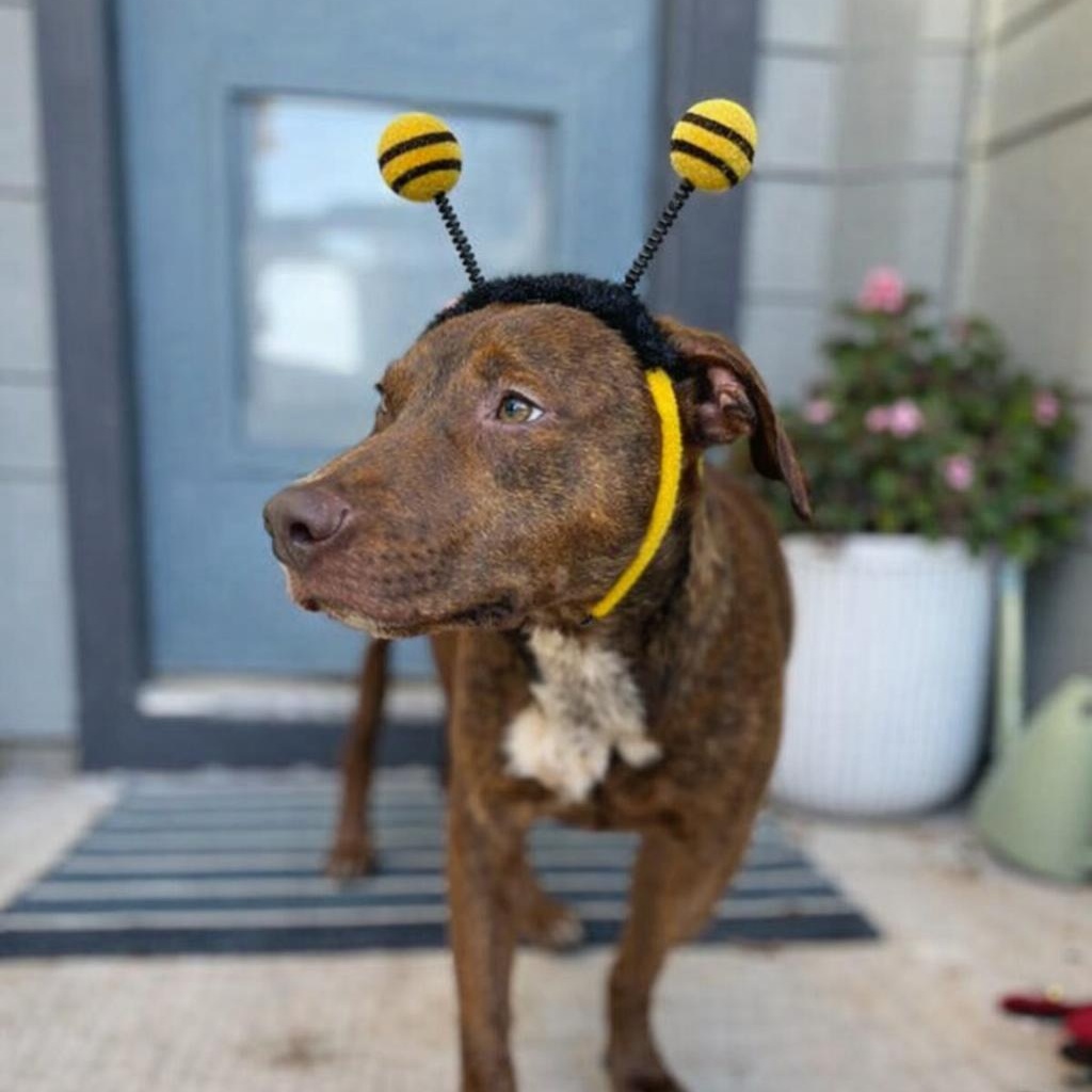 Jason Statham — thumbnail 3