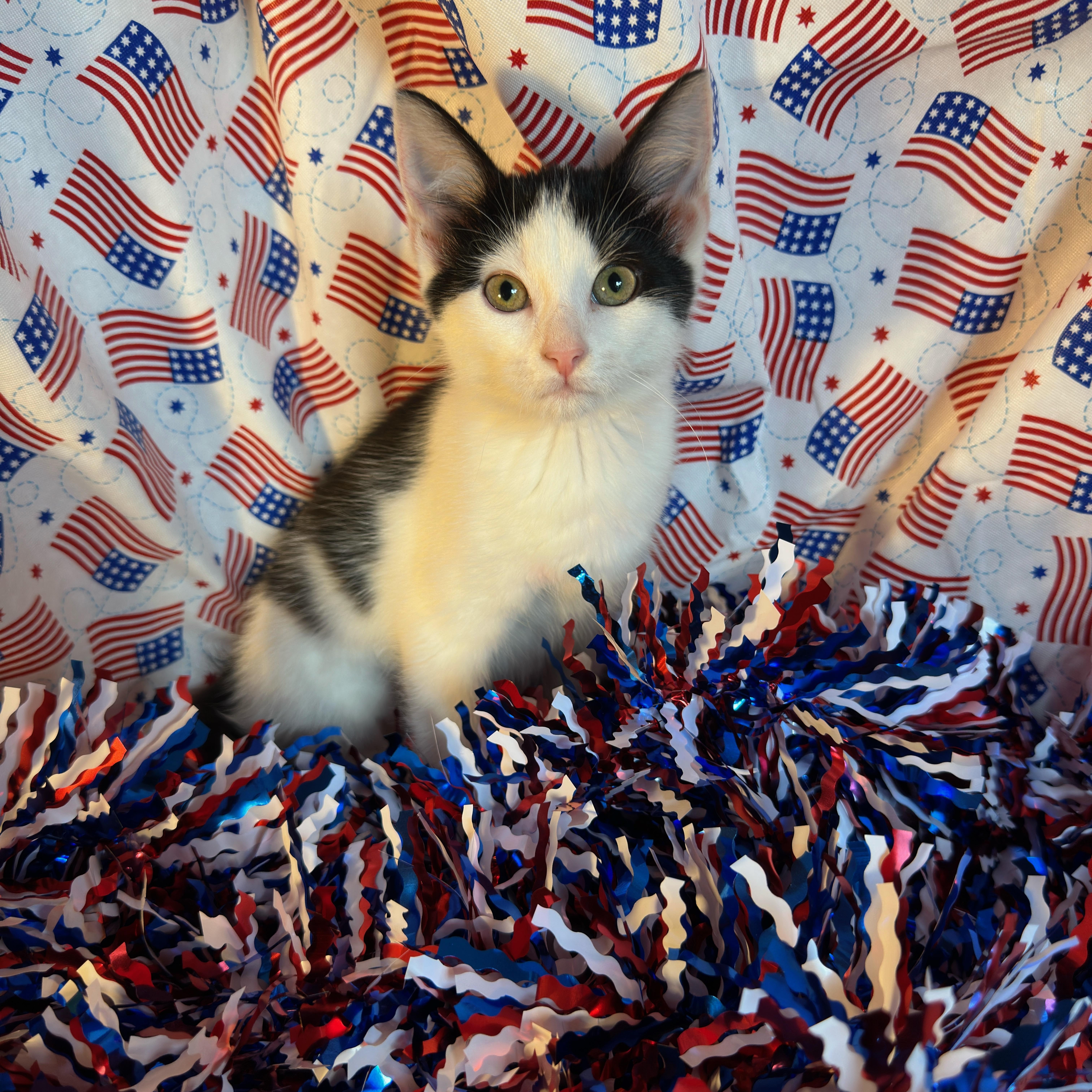 Butterfinger