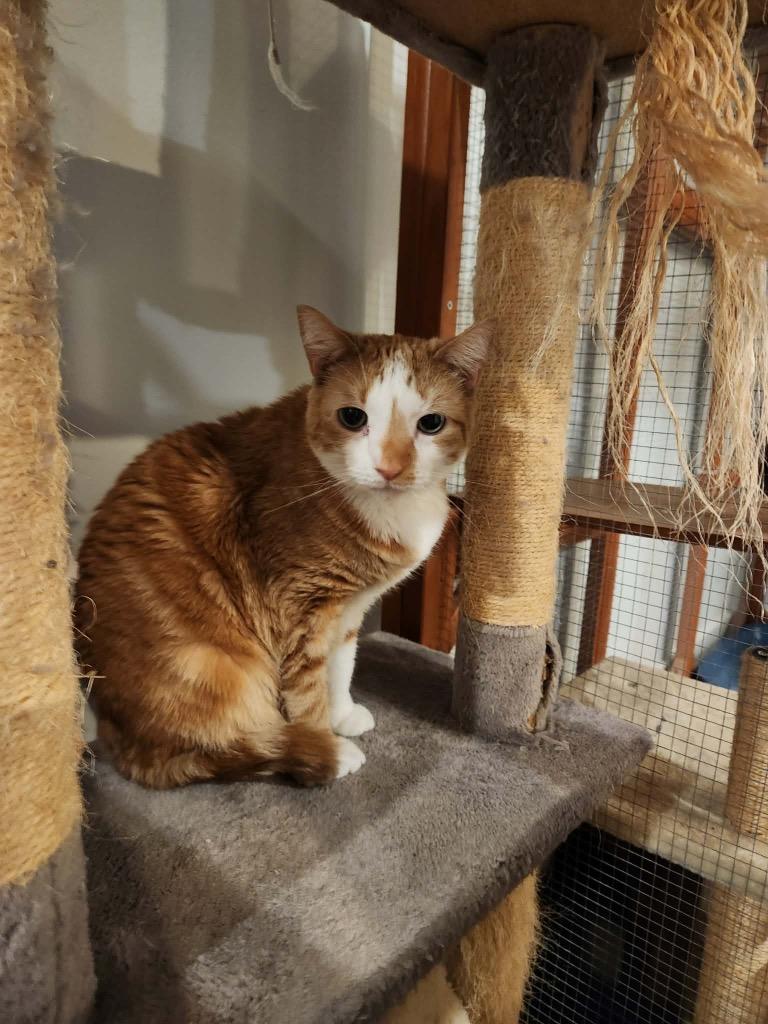 Lita Ford — thumbnail 5