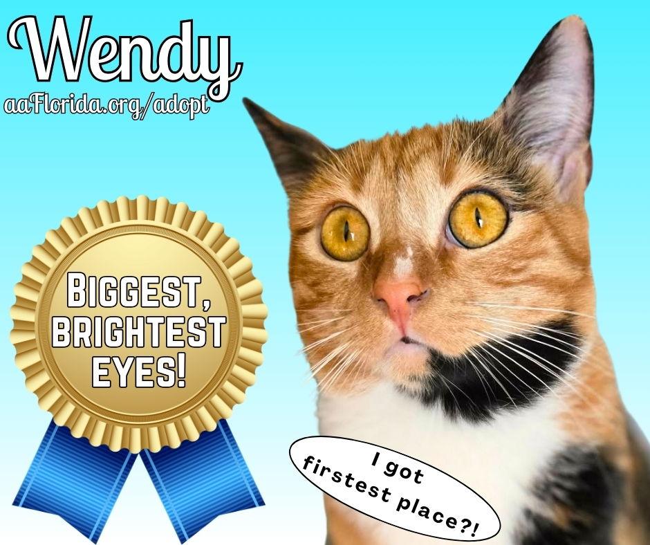Wendy photo