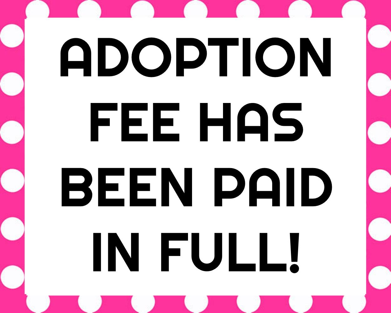 Bunny - SPONSORED ADOPTION