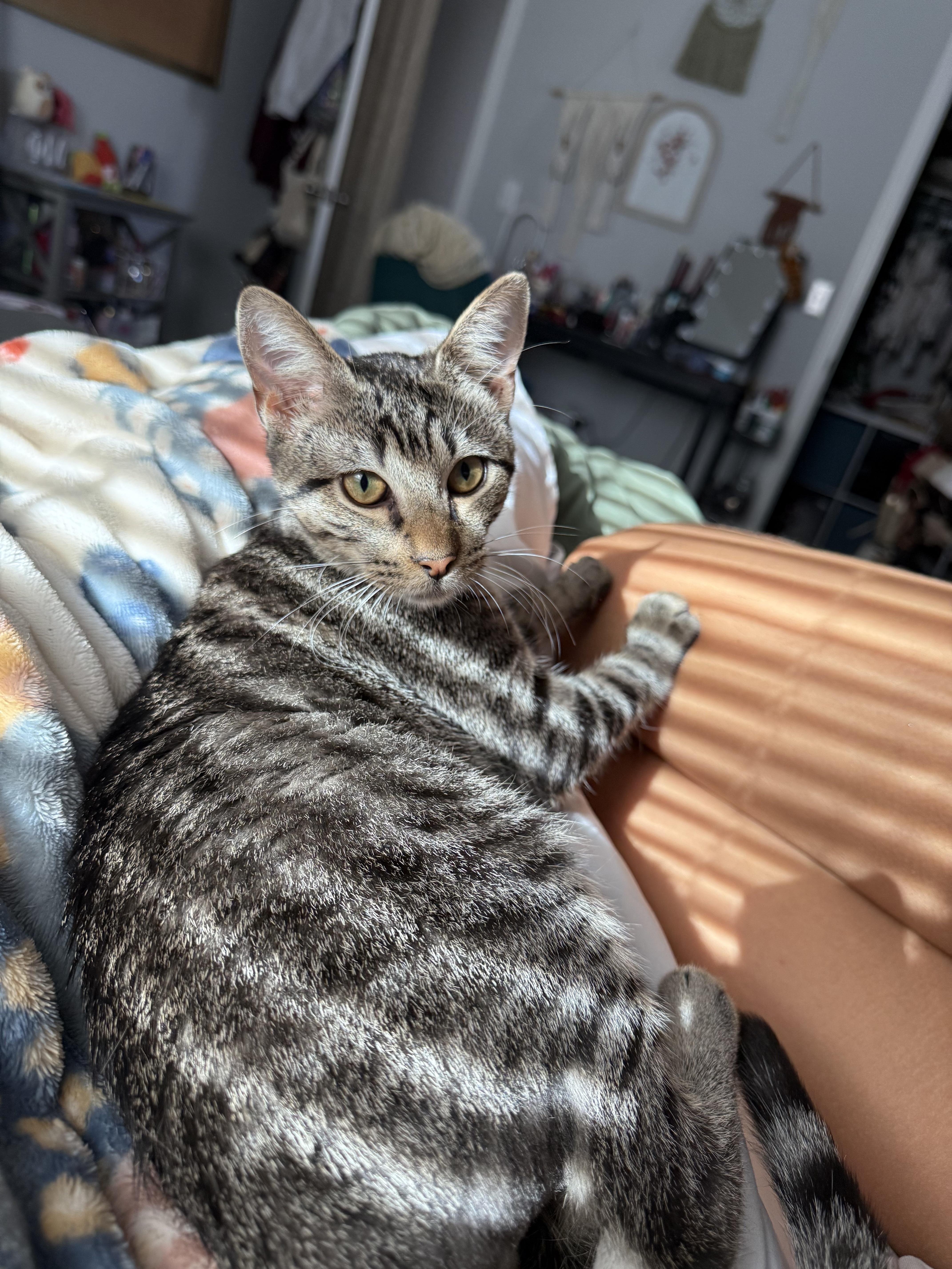 Dinkleberg thumbnail 2