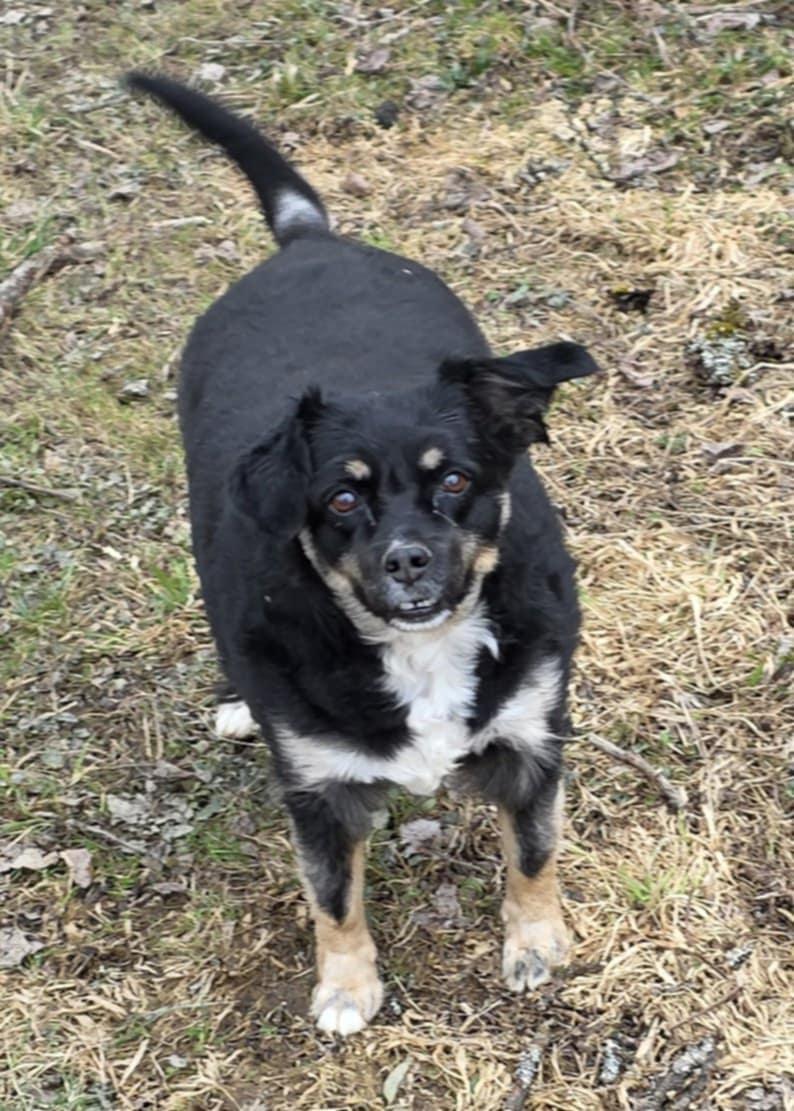 Layla Walworth Kramer thumbnail 3