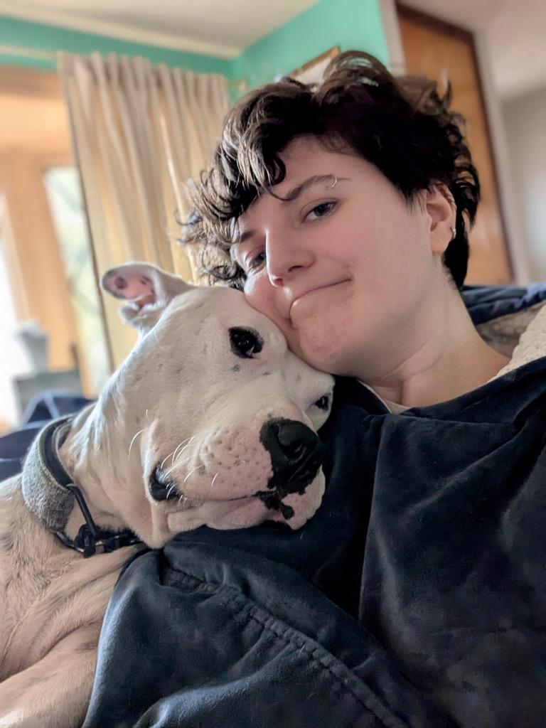 Fritz - Deaf - LOCAL, a Adoptable mixed breed in Princeton, MA image 3/6