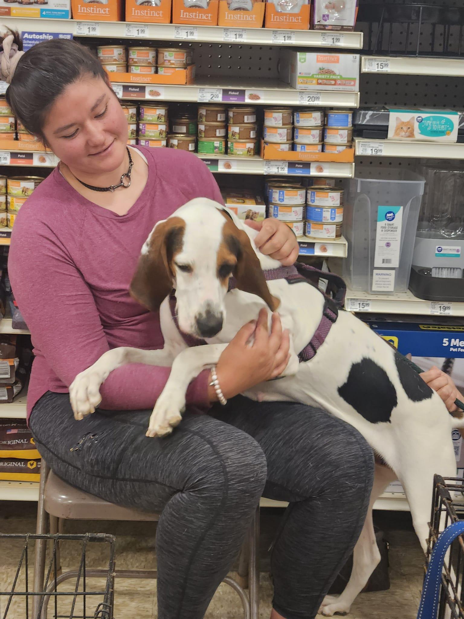 Enlarge Molly, a Adoptable mixed breed in Stafford, VA image 2/2