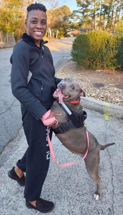 Enlarge Eliza (Foster), a Adoptable Mixed Breed in Atlanta, GA image 2/3