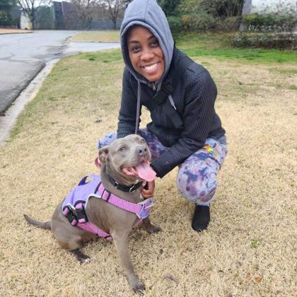 Enlarge Eliza (Foster), a Adoptable Mixed Breed in Atlanta, GA image 3/3