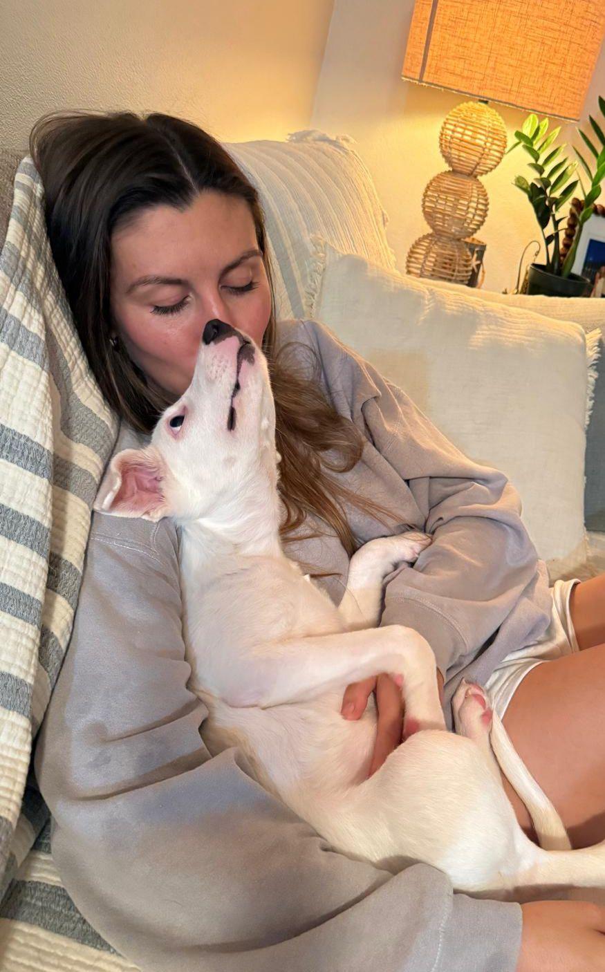 Enlarge Dora, a ADOPTABLE Mixed Breed in Etobicoke, ON image 6/6