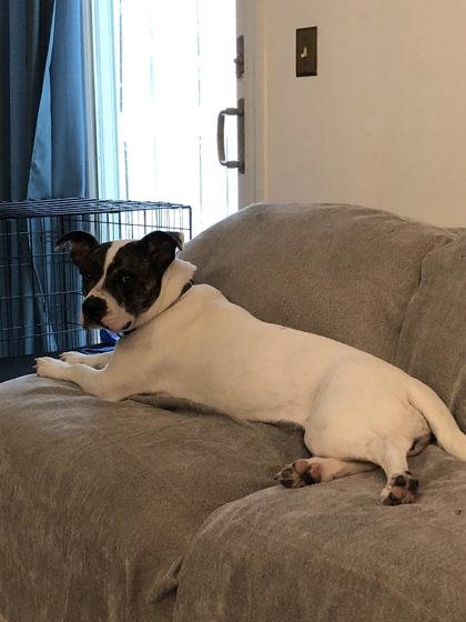 Billy Jean thumbnail 3