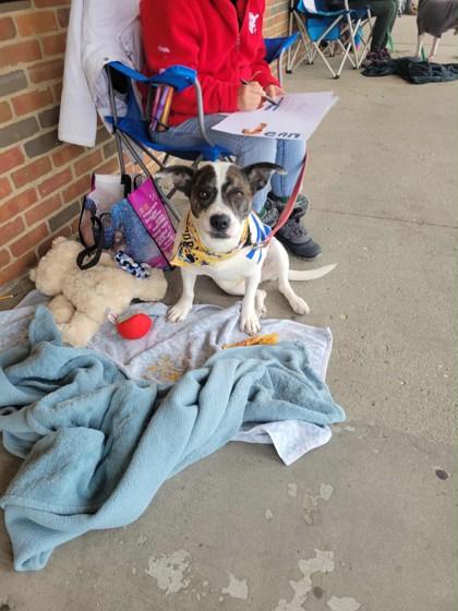 Billy Jean thumbnail 4