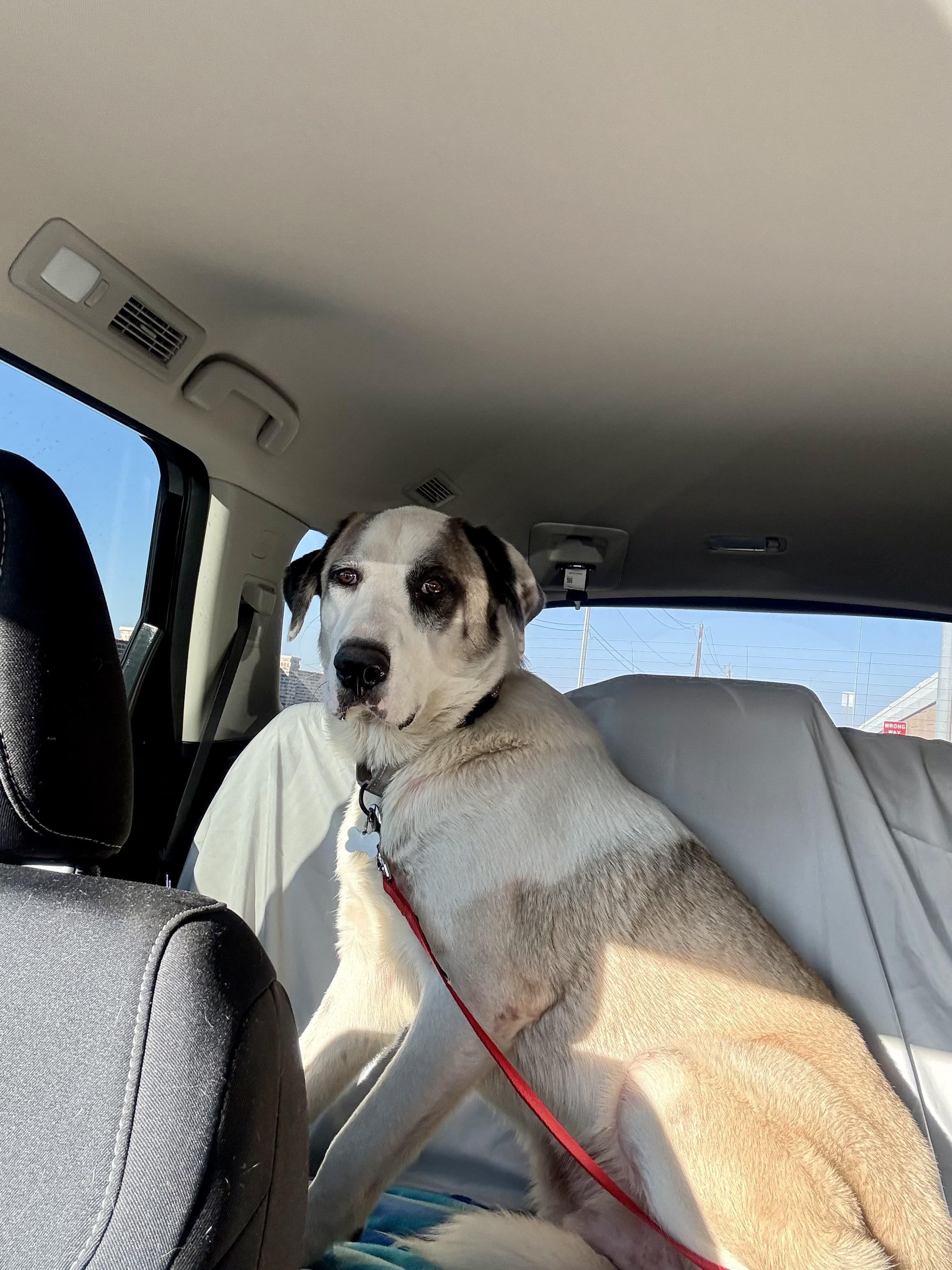 Kolby — thumbnail 4