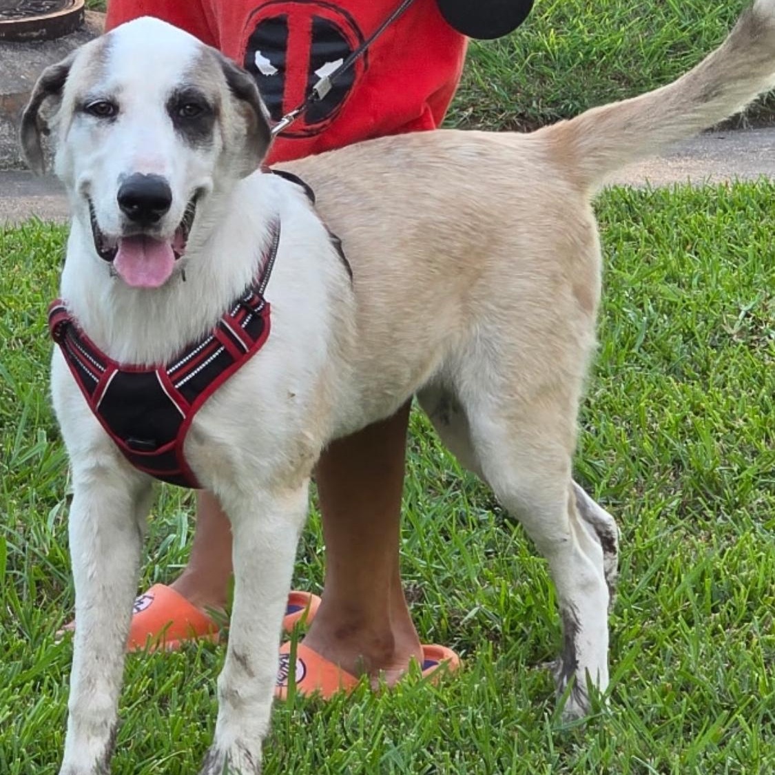 Kolby — thumbnail 5