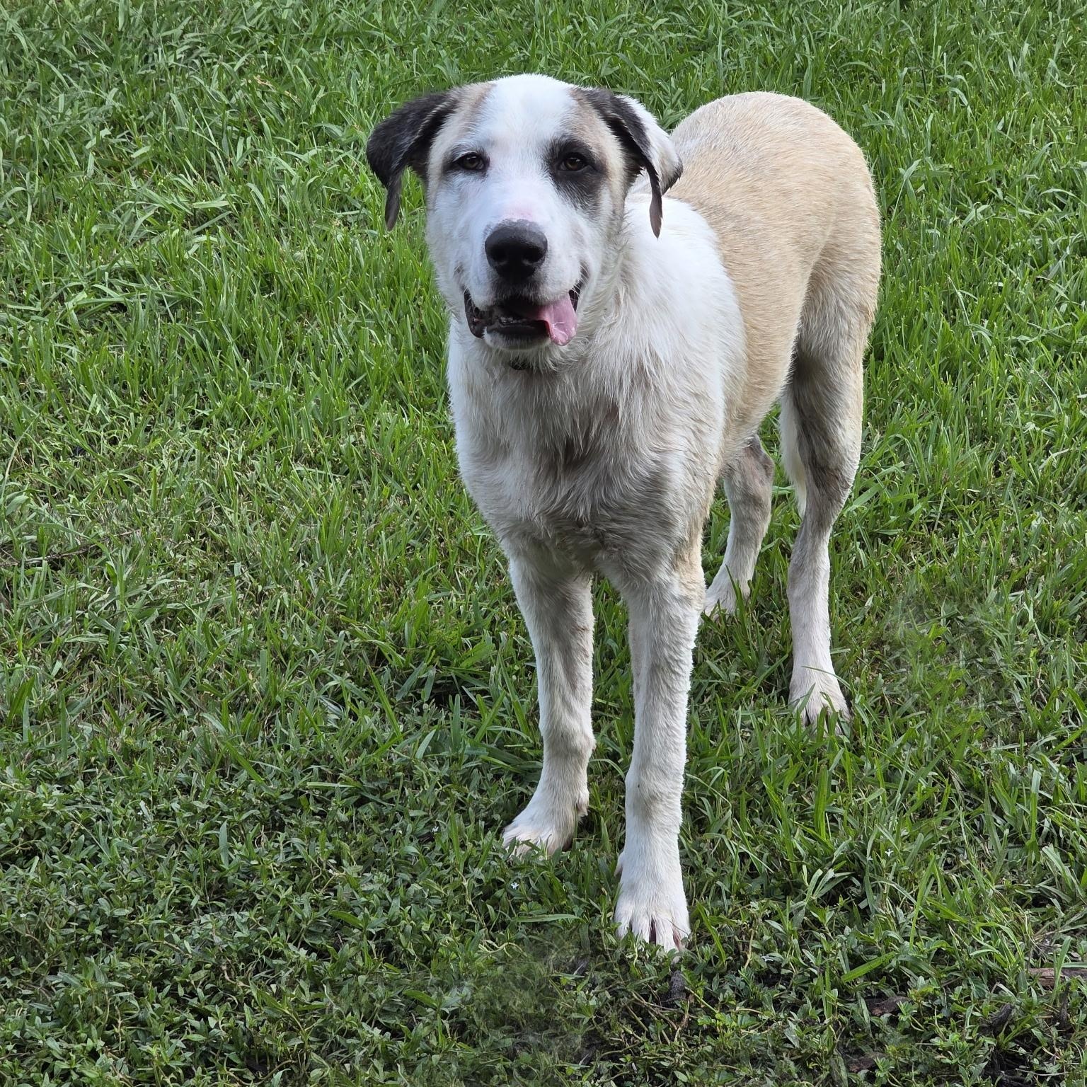 Kolby — thumbnail 6