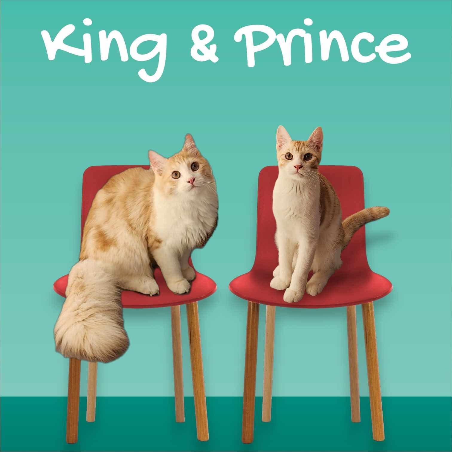 Prince & King (bonded brothers)