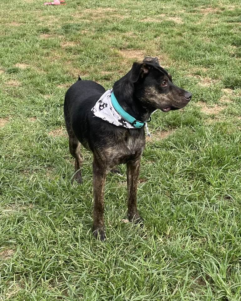 Max