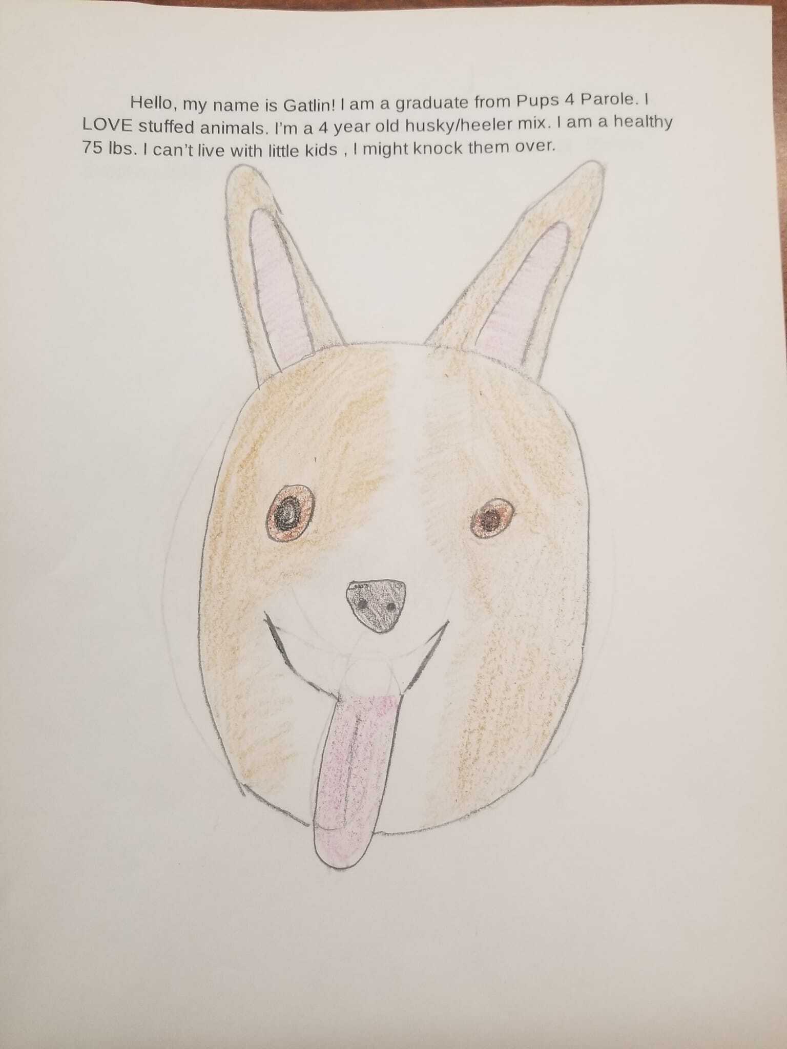 Rugsy — thumbnail 3