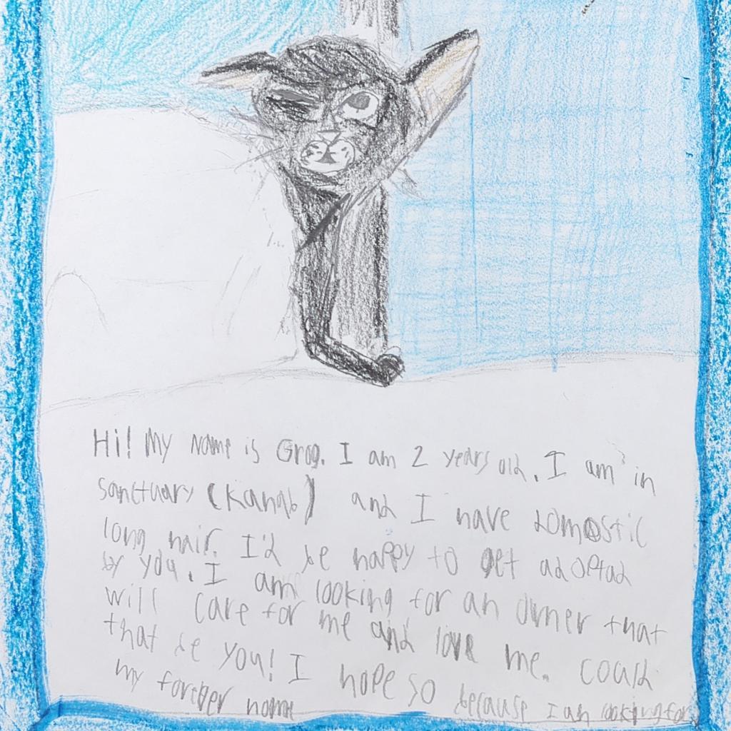 Grog — thumbnail 4