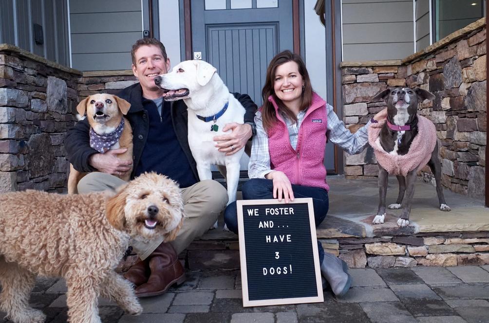 Enlarge Foster Homes Needed, a Adoptable mixed breed in Floyd, VA image 2/6