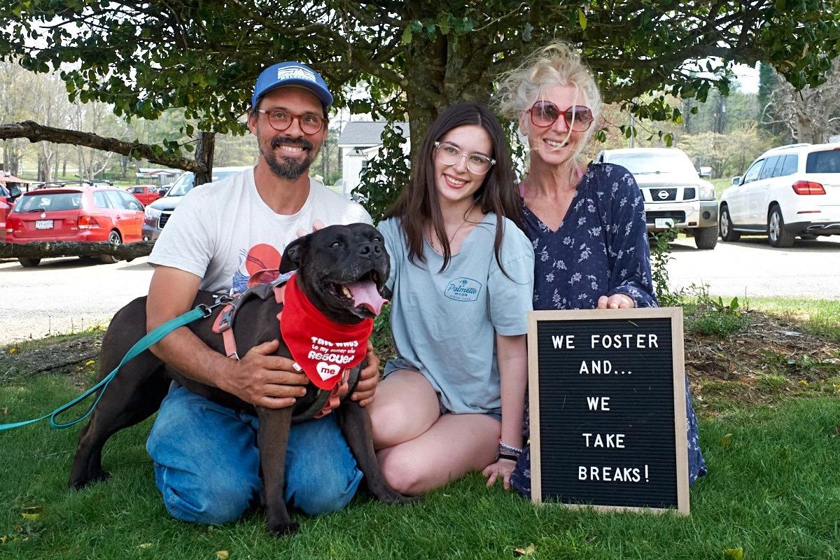 Enlarge Foster Homes Needed, a Adoptable mixed breed in Floyd, VA image 3/6