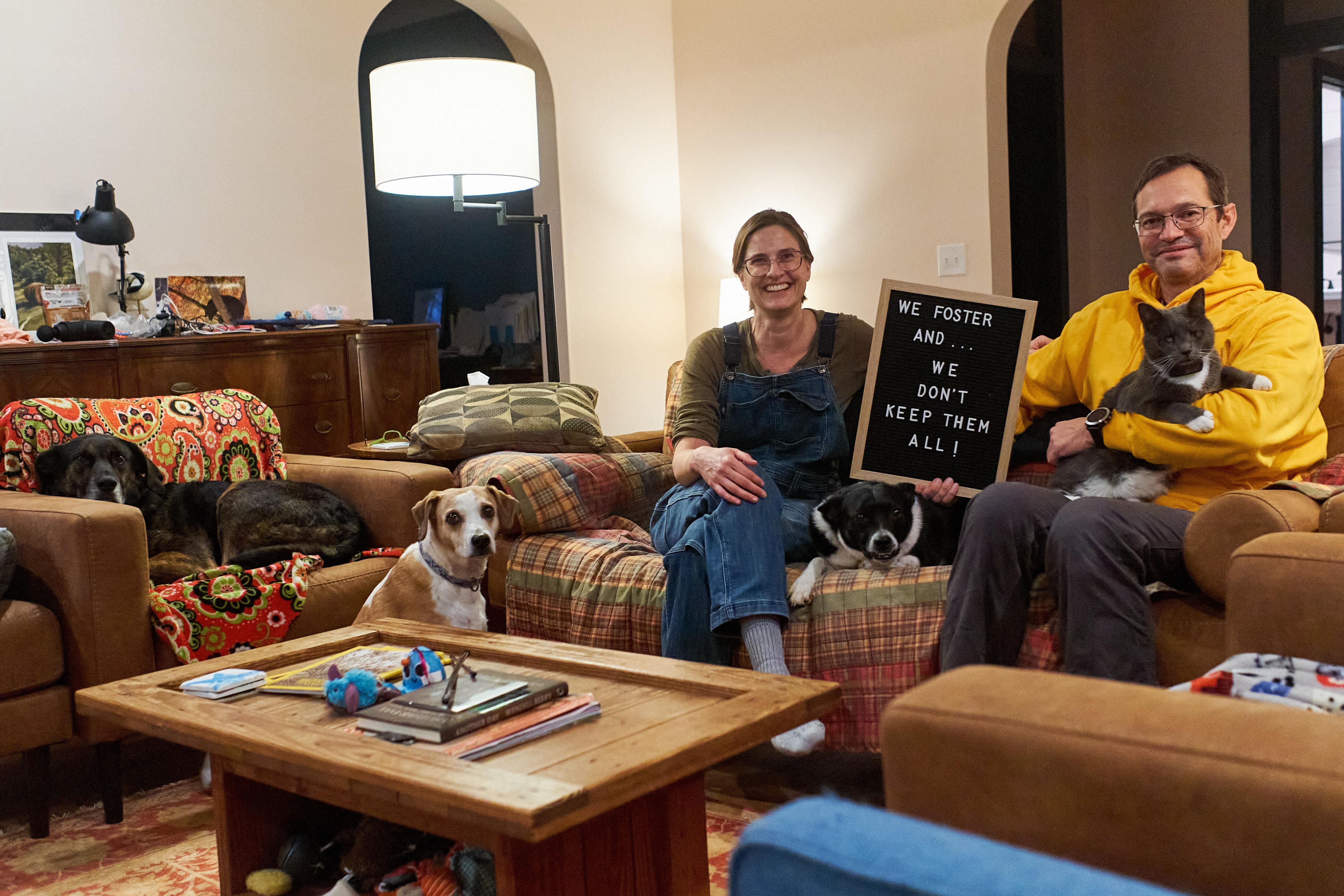 Enlarge Foster Homes Needed, a Adoptable mixed breed in Floyd, VA image 4/6