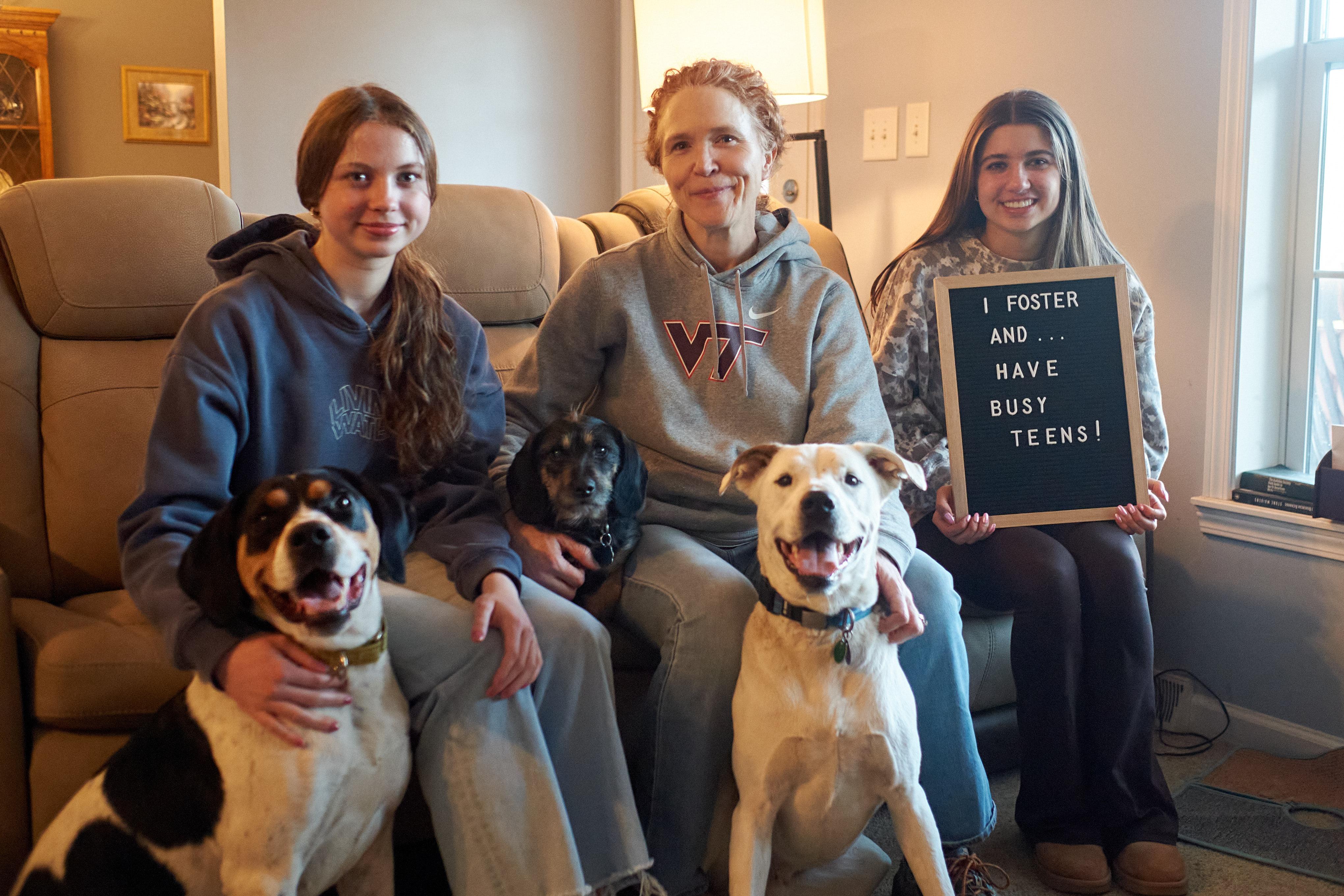 Enlarge Foster Homes Needed, a Adoptable mixed breed in Floyd, VA image 5/6