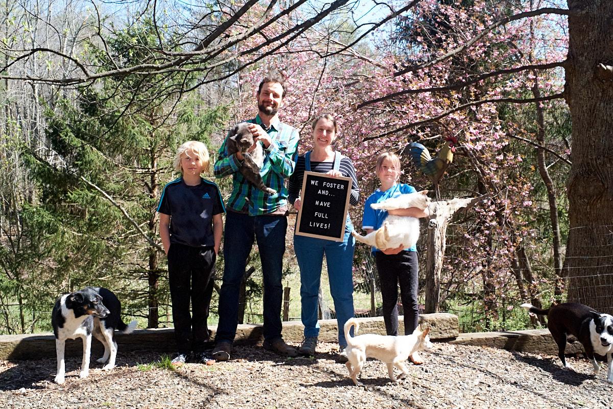 Enlarge Foster Homes Needed, a Adoptable mixed breed in Floyd, VA image 6/6