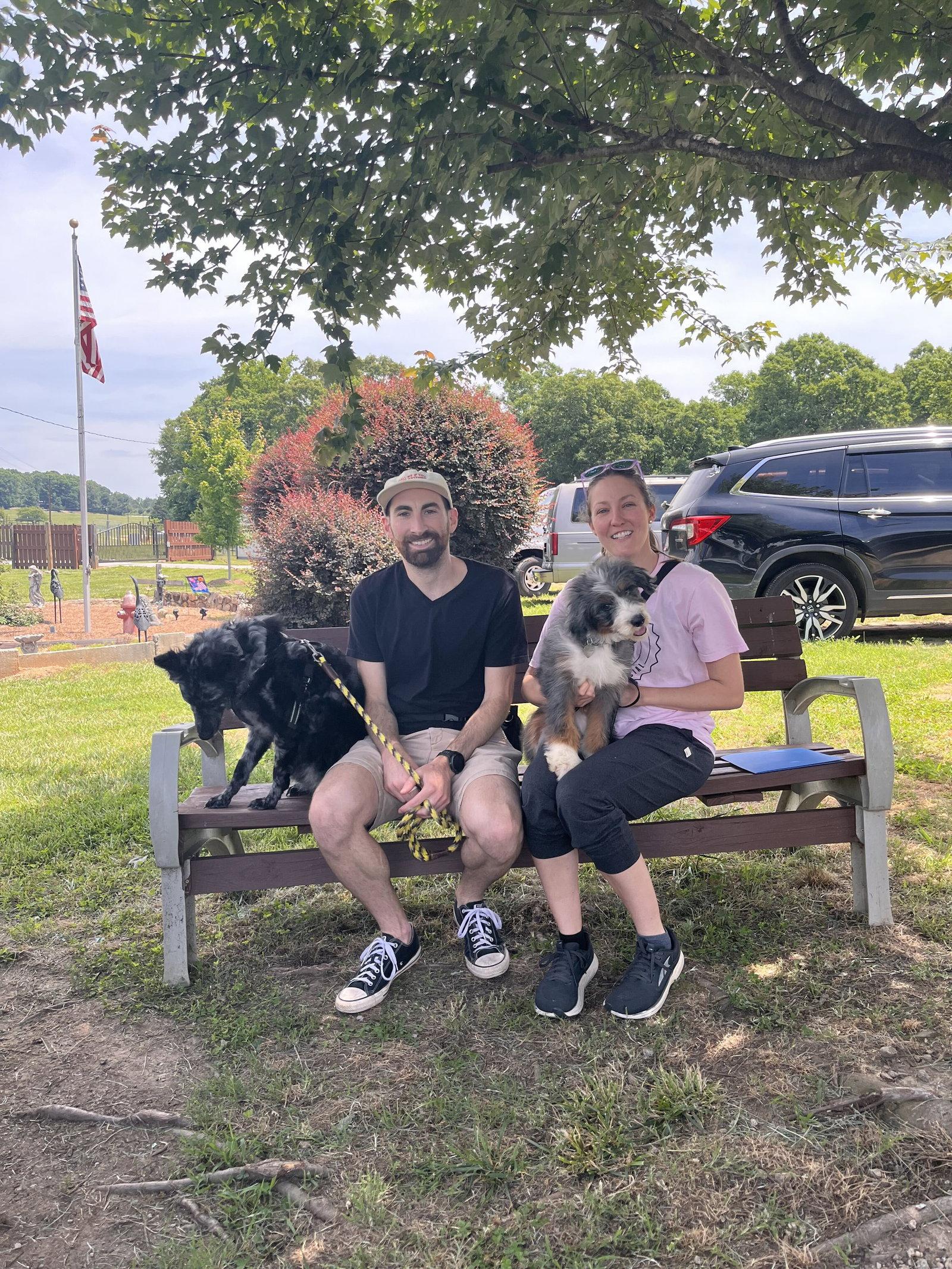 Max May 26 -too many aps, a Adopted mixed breed in Pacolet, SC image 1/3