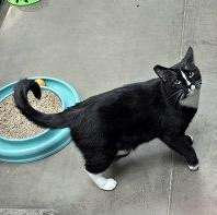 MADDIE — thumbnail 2