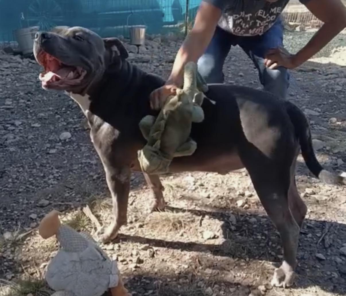 CESAR > Bleeding Heart Society — thumbnail 4