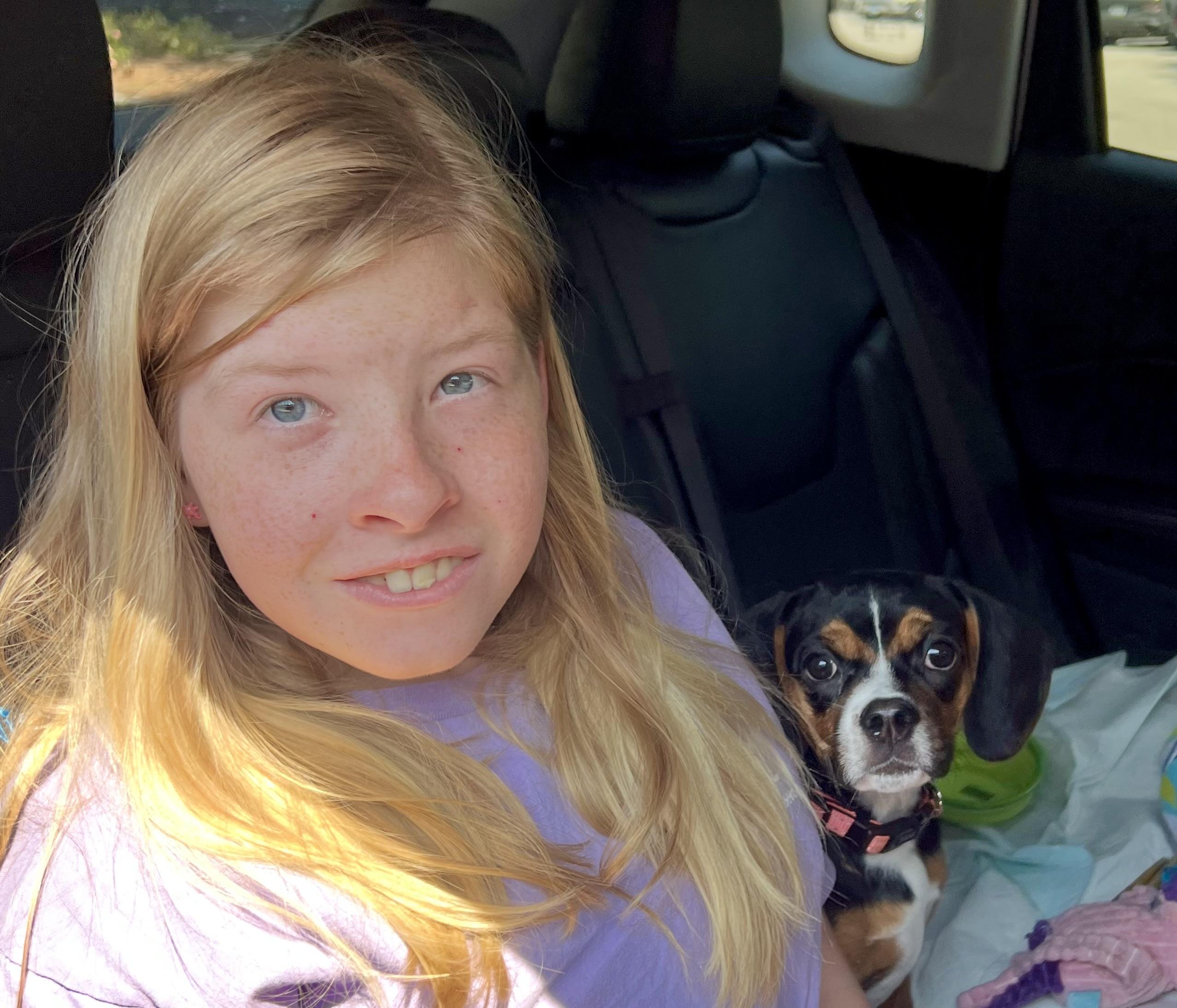 Enlarge Wilma, a Adopted mixed breed in Mt Pleasant, SC image 4/6