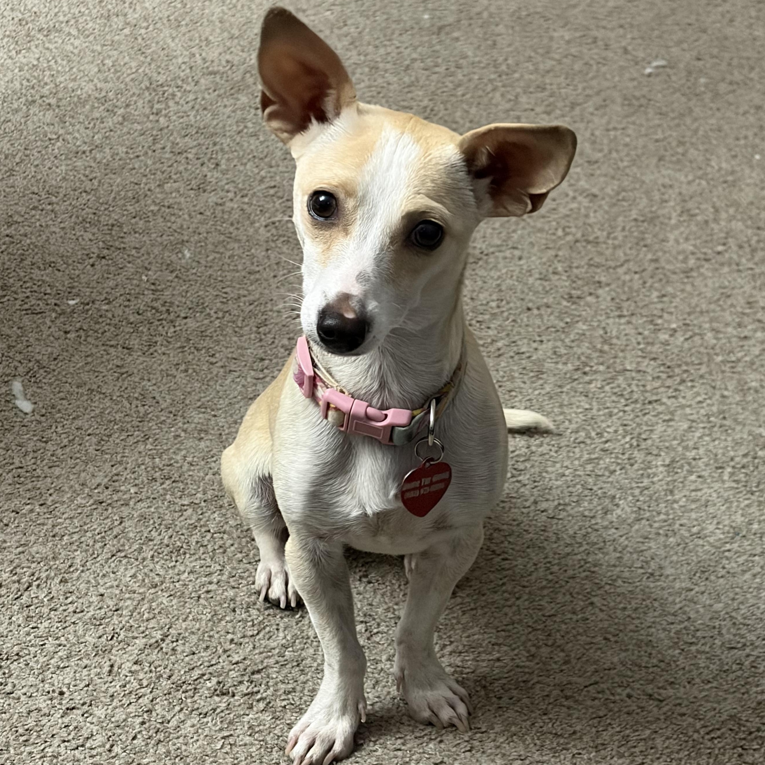 Summer — thumbnail 2