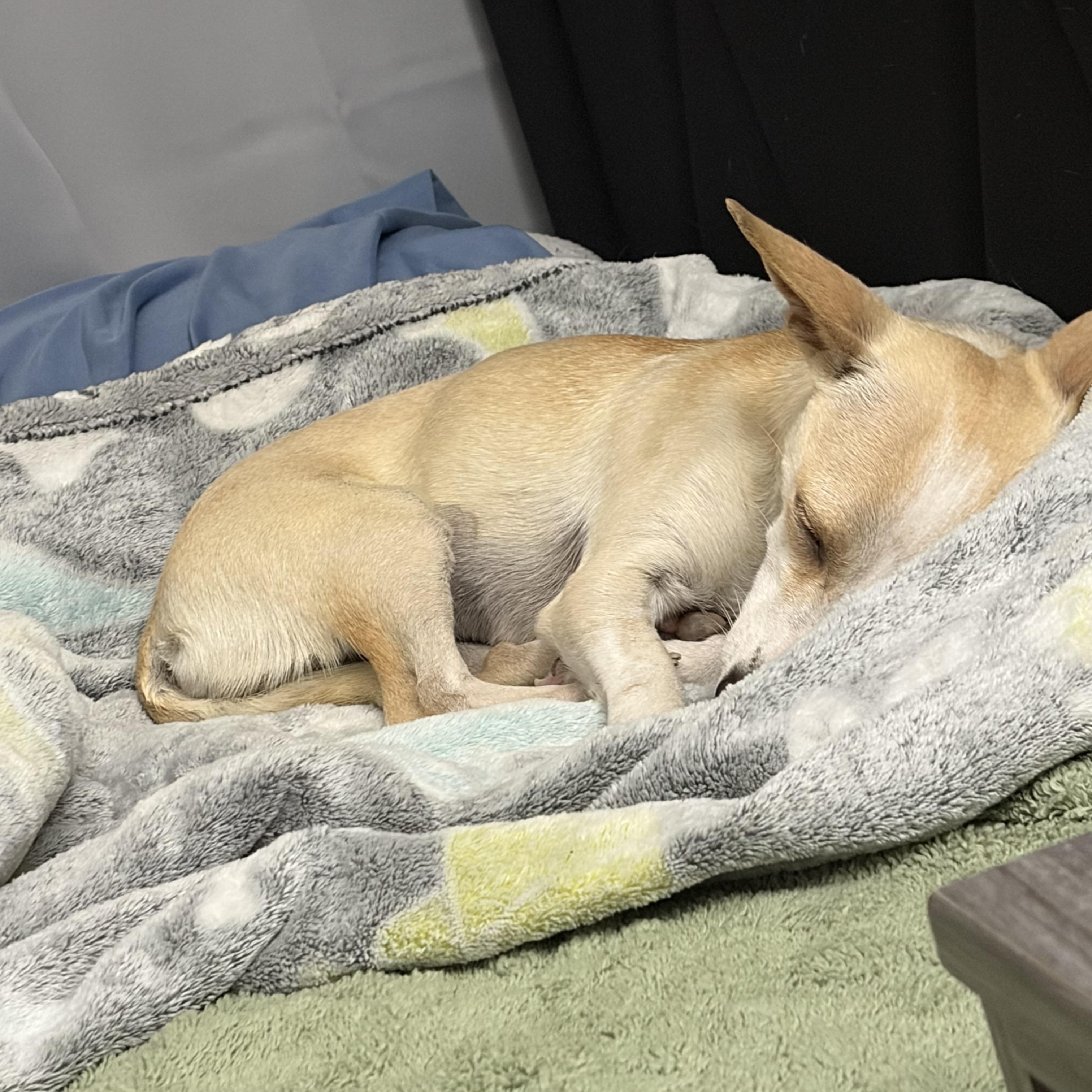 Summer — thumbnail 3