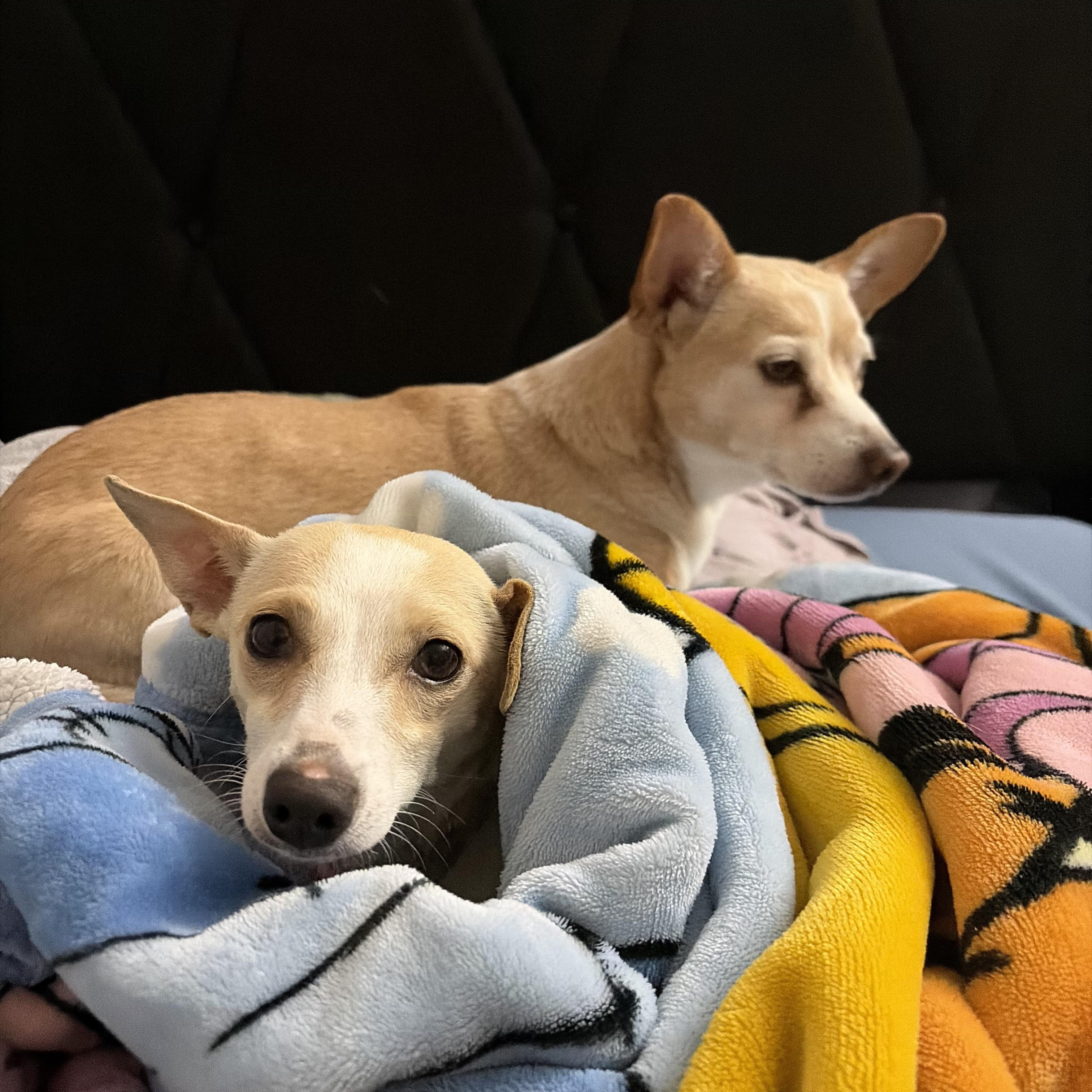 Summer — thumbnail 4