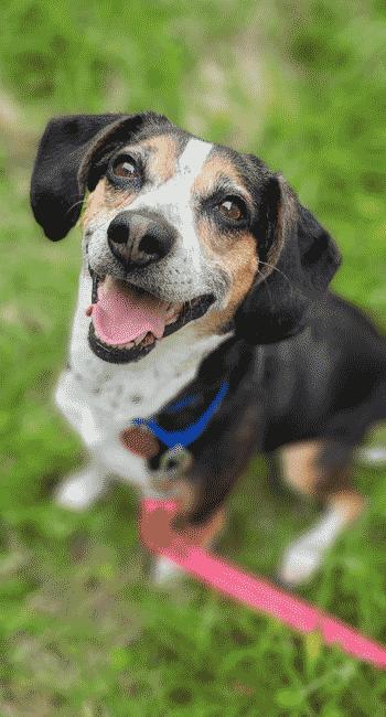 Kona