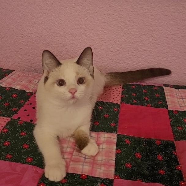 CASPERELLA & CLEMENTINA