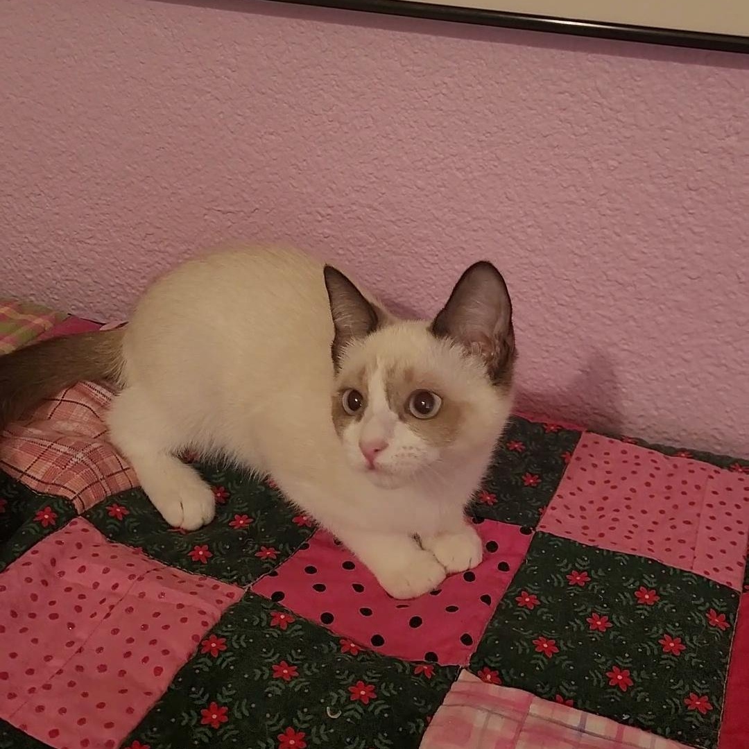 CASPERELLA & CLEMENTINA