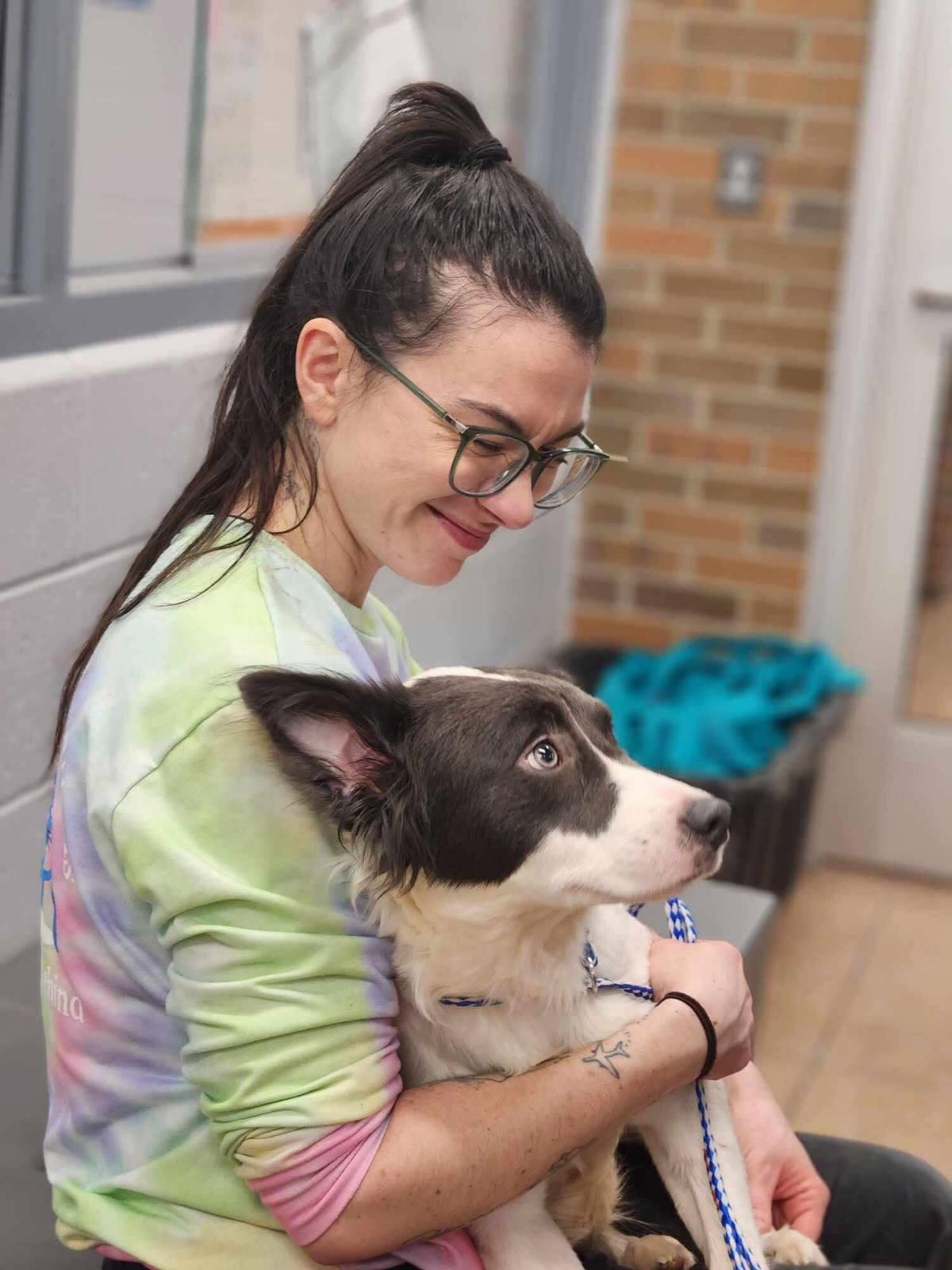 Complicated Carley, a Adoptable mixed breed in Eagle, MI image 5/6