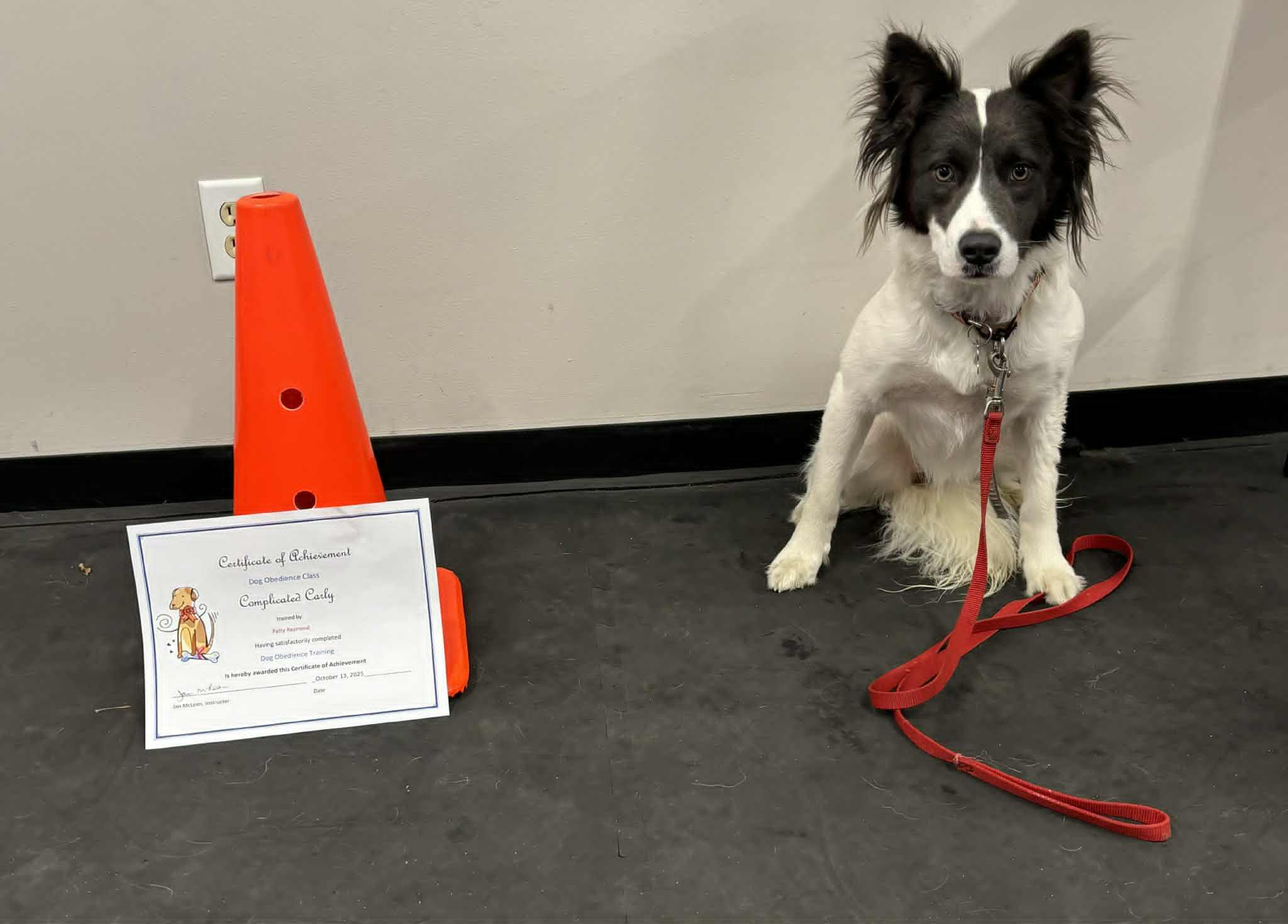 Complicated Carley thumbnail 5