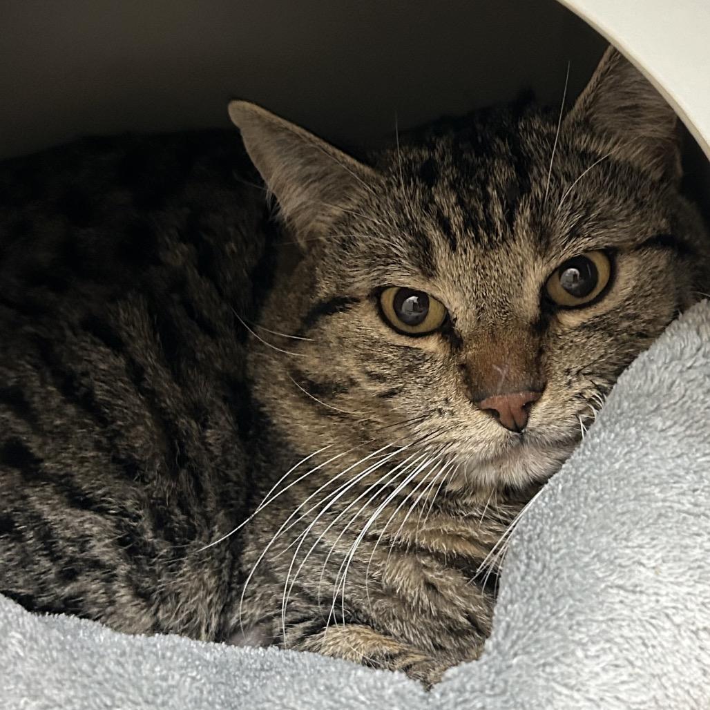 Keanu — thumbnail 2