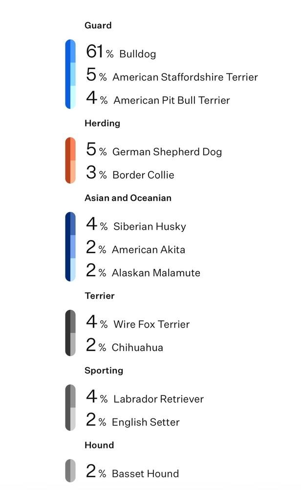Enlarge Tater, a Adoptable mixed breed in Frisco, TX image 3/6
