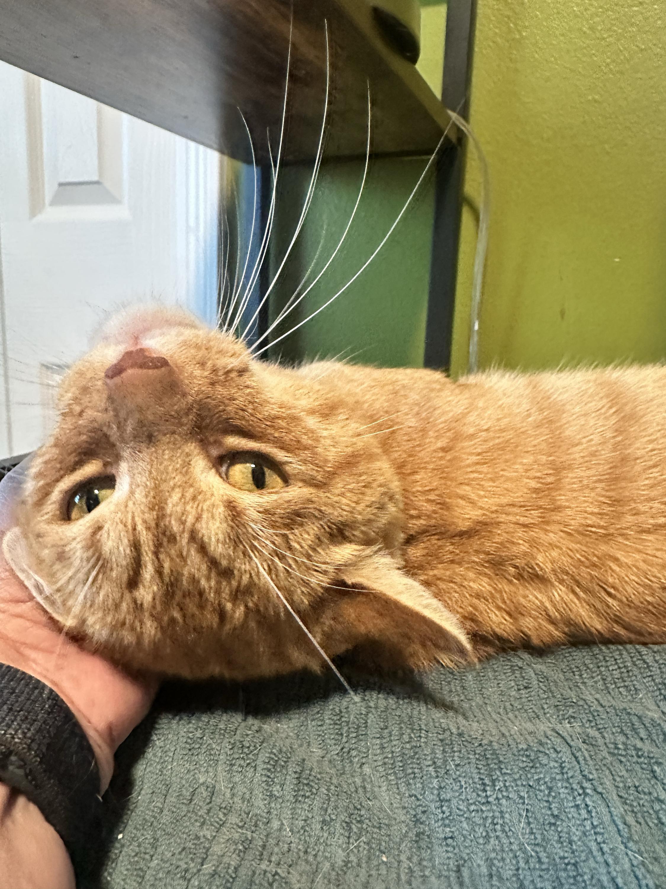 M’lemonade thumbnail 3