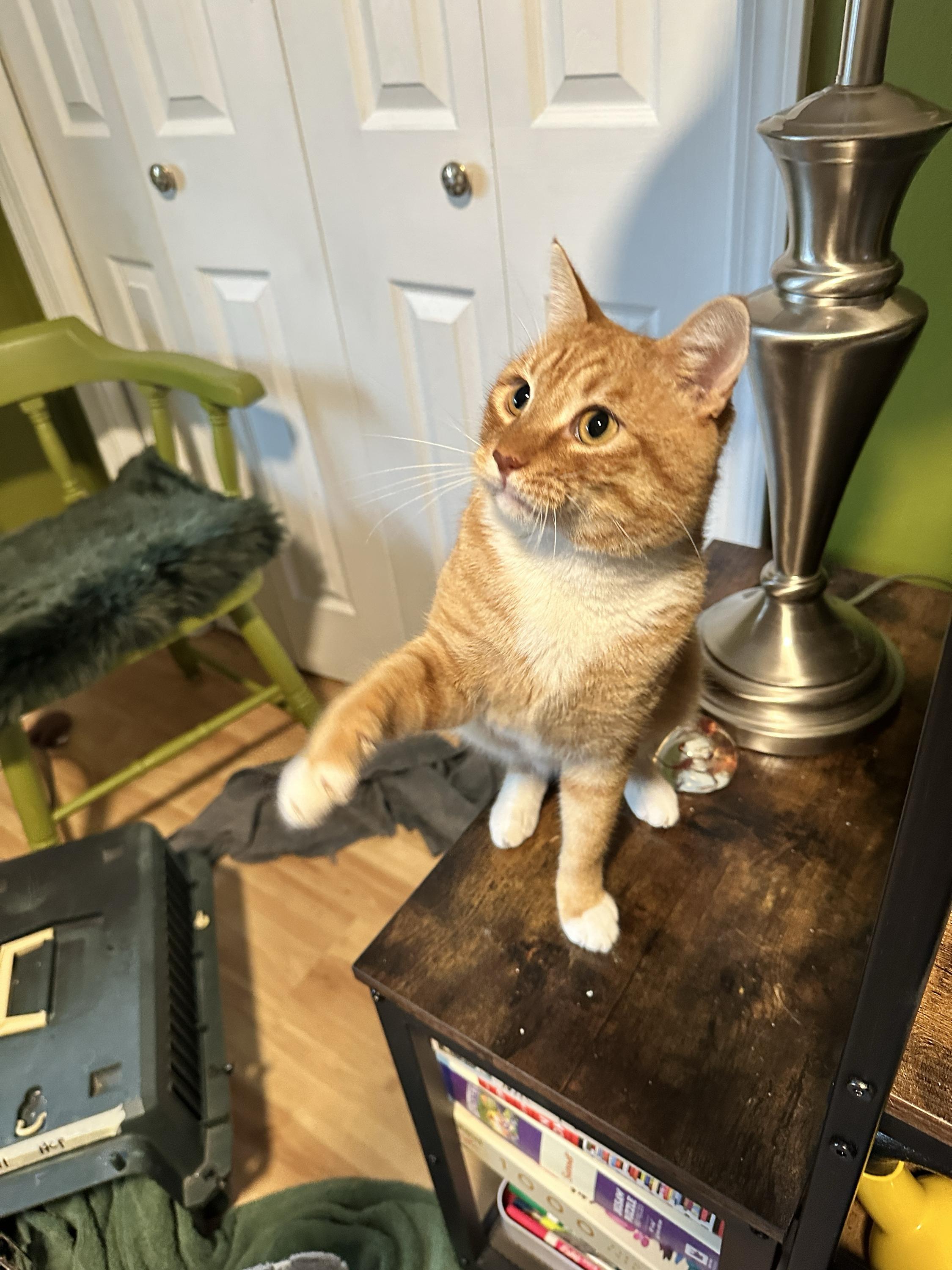 M’lemonade thumbnail 2