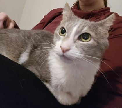 Garth — thumbnail 2