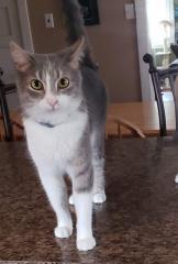 Garth — thumbnail 3