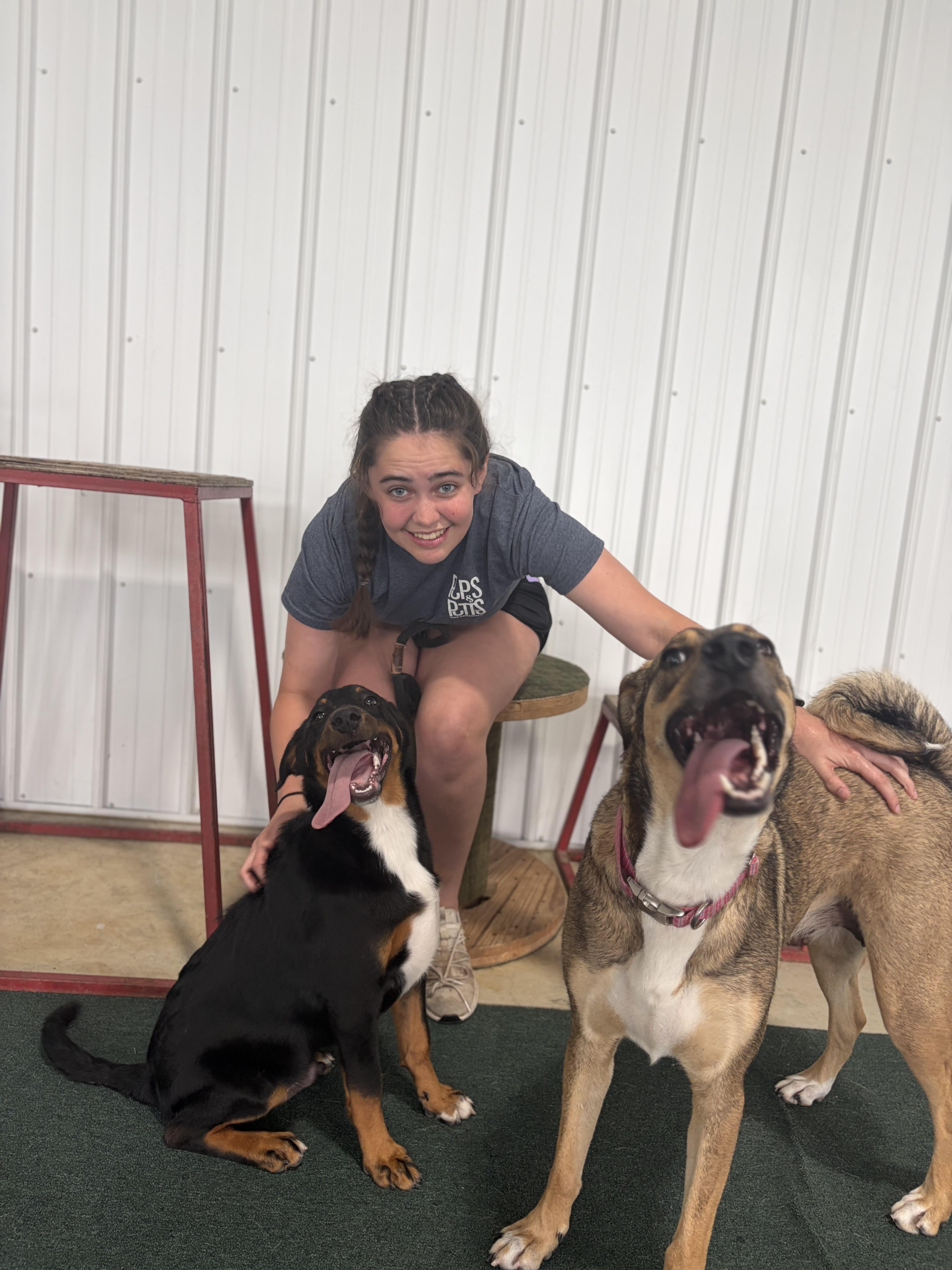 Bali, an adopted mixed breed in Lake Odessa, MI image 2/6