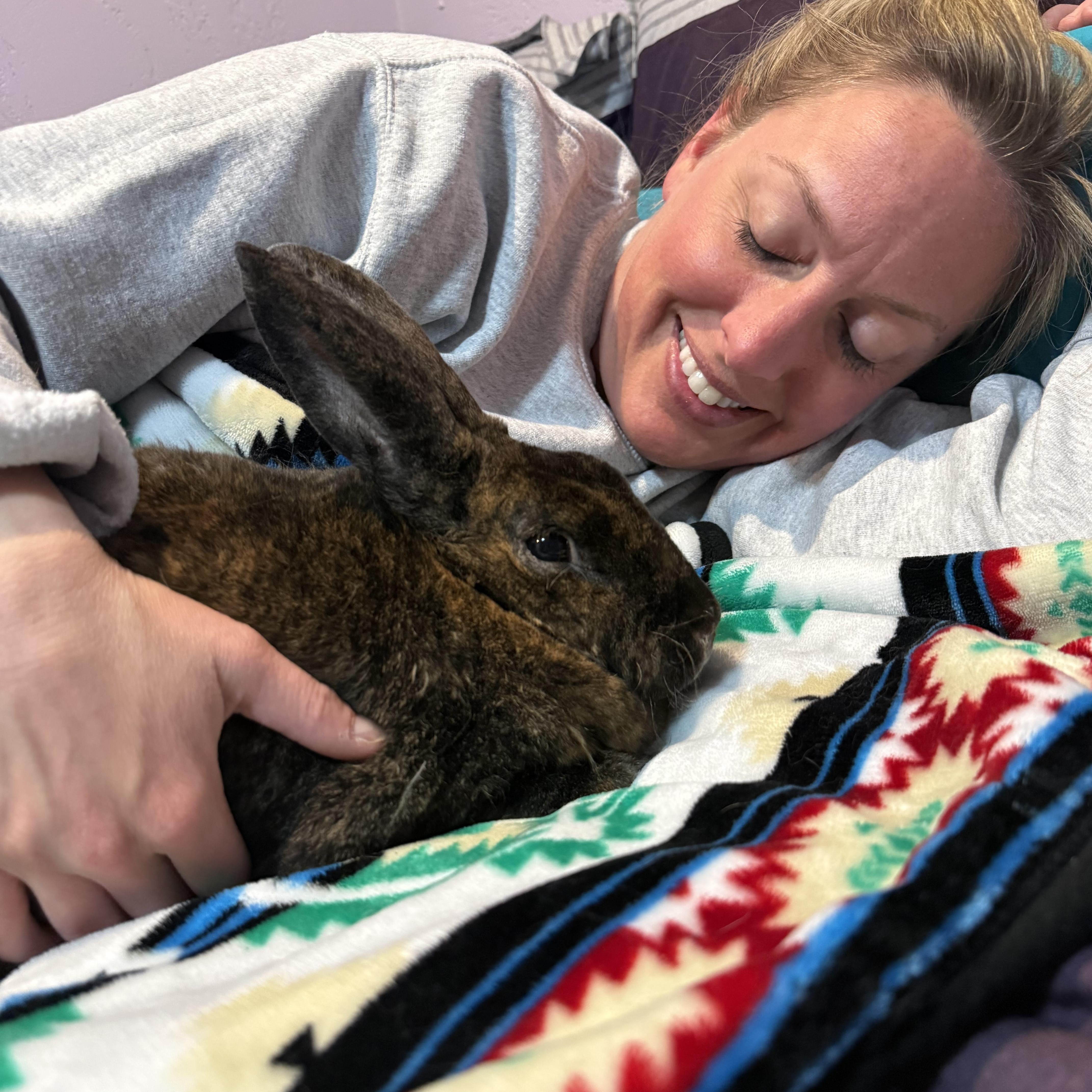 Enlarge Esther, a Adoptable Rex in Oshkosh, WI image 4/6