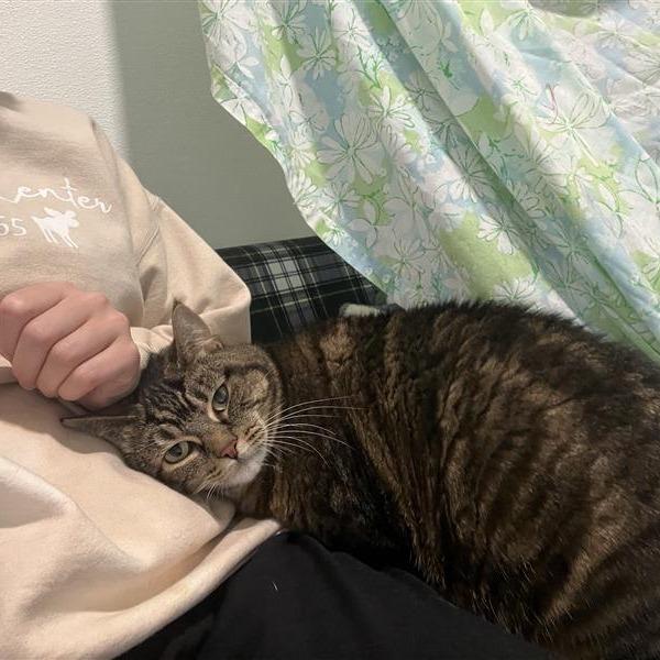 Mia (Princess Mia) — thumbnail 4