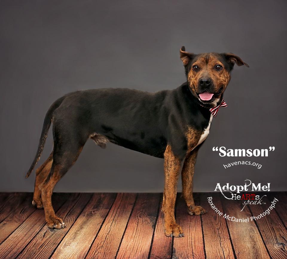 Samson